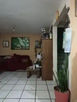 Snapshot of d3lfigarcia chatting on July 2026 05:37:01 AM d3lfigarcia online show from July 2026 05:37:01 AM