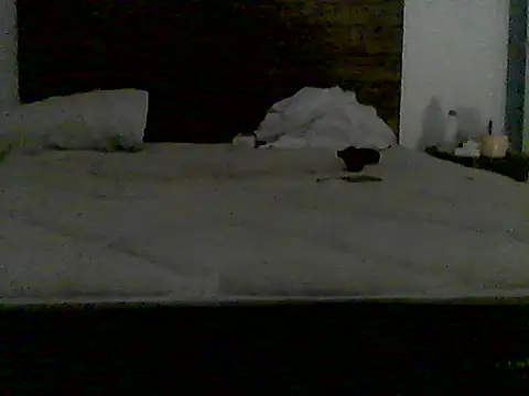 Snapshot of rick_md chatting on September 2025 03:56:01 AM rick md online show from September 2025 03:56:01 AM