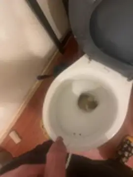 jobart-off online show from January 2026 11:02:02 AM