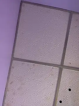 Nicol1997 online show from February 2026 08:29:02 PM