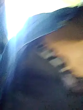 TransCya2024 online show from November 2025 03:38:02 PM