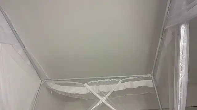 shandiloveslemonss online show from December 2025 08:06:02 AM