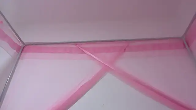 shandiloveslemonss online show from November 2025 03:28:02 AM