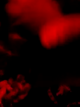 DaniSexFlow online show from March 2026 08:05:02 AM