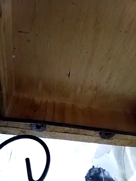 DaniSexFlow online show from October 2025 04:36:02 AM