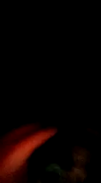 doggiepossession online show from March 2025 02:45:02 PM