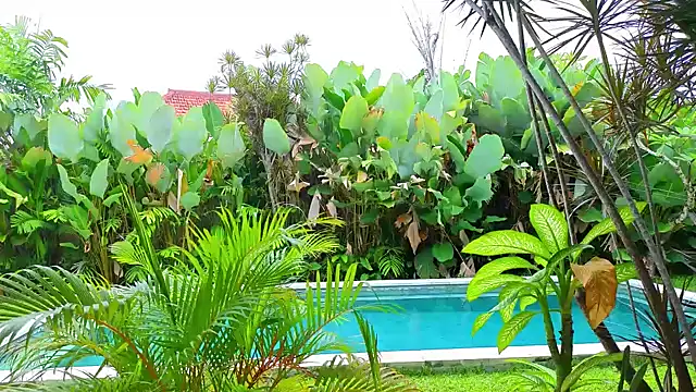  Katie Dierse online show from February 2026 05:38:02 AM