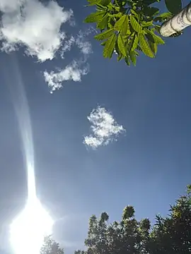 VioletaSubmissive online show from March 2026 08:31:02 PM