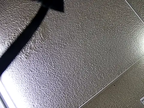 yajahil online show from November 2025 07:36:02 PM