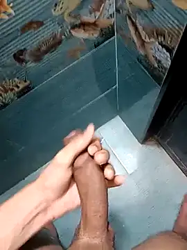 Mr joh online show from February 2026 05:53:01 AM