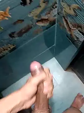 Mr joh online show from February 2026 05:26:02 AM