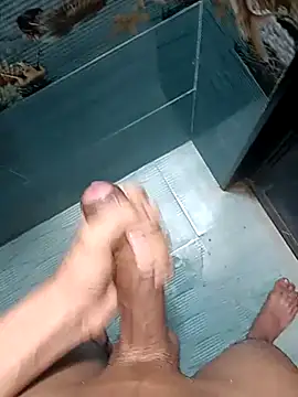 Mr joh online show from February 2026 05:49:01 AM