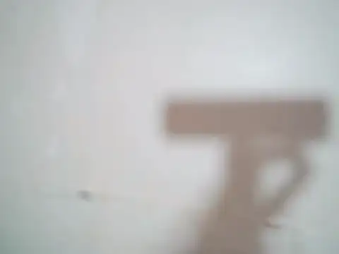 Indian sunshine online show from November 2025 05:19:02 AM