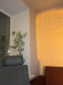 saint cat25 online show from March 2026 07:43:02 PM