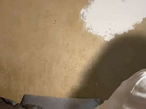 saint cat25 online show from February 2026 09:22:02 PM