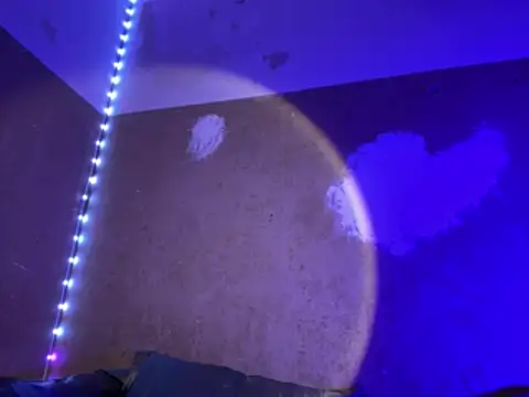 saint cat25 online show from March 2026 10:43:02 PM