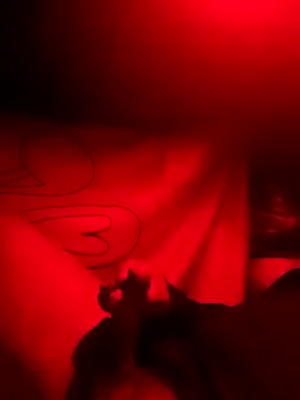 rayhot69 online show from December 2024 03:50:02 AM