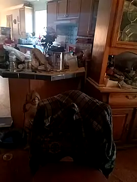 Snapshot of wilsons12 chatting on November 2025 08:09:01 PM wilsons12 online show from November 2025 08:09:01 PM