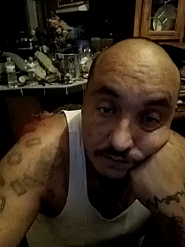 Snapshot of wilsons12 chatting on November 2025 08:36:02 AM wilsons12 online show from November 2025 08:36:02 AM