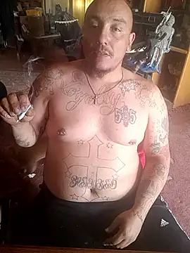 wilsons12 online show from April 2026 08:15:02 PM