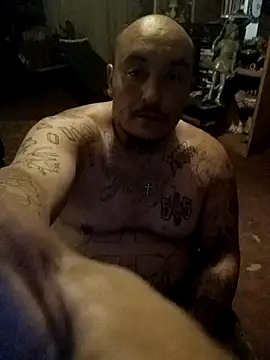 wilsons12 online show from April 2026 04:38:02 AM