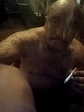 wilsons12 online show from March 2026 05:41:01 AM