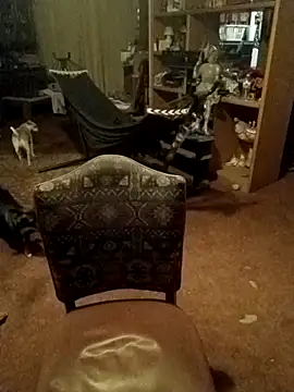 Snapshot of wilsons12 chatting on February 2026 11:10:01 AM wilsons12 online show from February 2026 11:10:01 AM