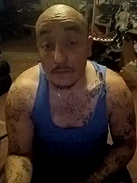 Snapshot of wilsons12 chatting on February 2026 07:41:02 AM wilsons12 online show from February 2026 07:41:02 AM