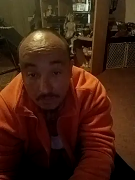 wilsons12 online show from March 2026 02:50:02 AM