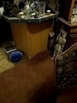 Snapshot of wilsons12 chatting on October 2025 03:07:02 AM wilsons12 online show from October 2025 03:07:02 AM