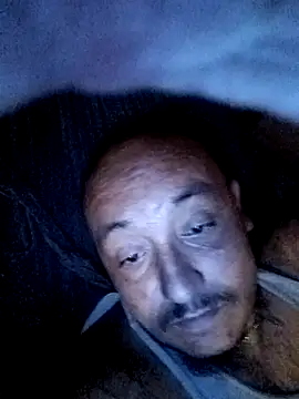wilsons12 online show from October 2025 05:53:01 AM