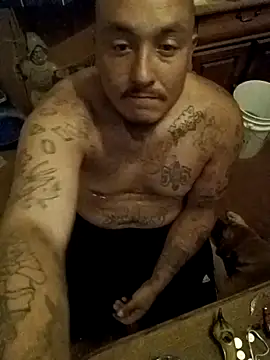 Snapshot of wilsons12 chatting on November 2025 02:05:01 AM wilsons12 online show from November 2025 02:05:01 AM