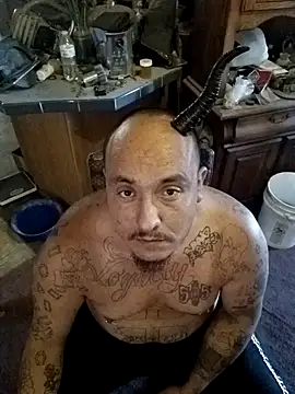 Snapshot of wilsons12 chatting on October 2025 02:39:02 PM wilsons12 online show from October 2025 02:39:02 PM