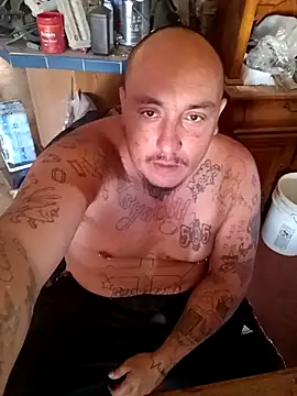 Snapshot of wilsons12 chatting on November 2025 05:17:02 PM wilsons12 online show from November 2025 05:17:02 PM