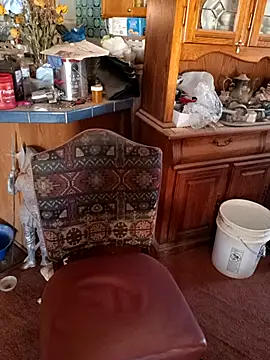 Snapshot of wilsons12 chatting on November 2025 06:11:02 PM wilsons12 online show from November 2025 06:11:02 PM