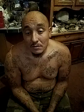 Snapshot of wilsons12 chatting on October 2025 05:42:01 AM wilsons12 online show from October 2025 05:42:01 AM