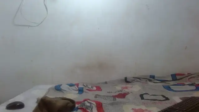 damian bottom bigcock online show from February 2026 08:40:01 PM