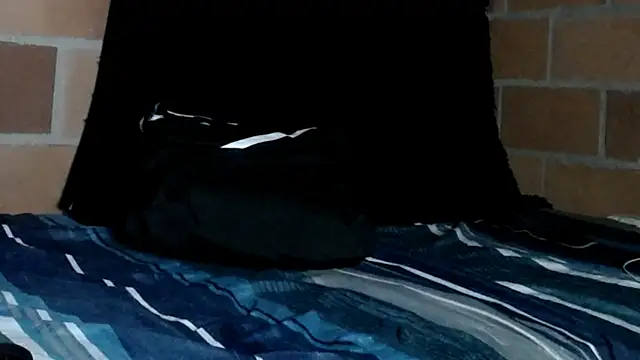 Snapshot of seanknigth chatting on January 2025 06:30:02 AM seanknigth online show from January 2025 06:30:02 AM