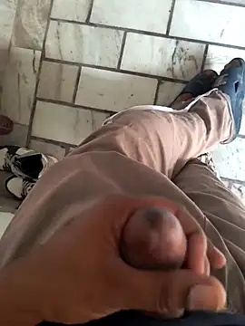 yaradayar online show from April 2026 03:19:01 AM