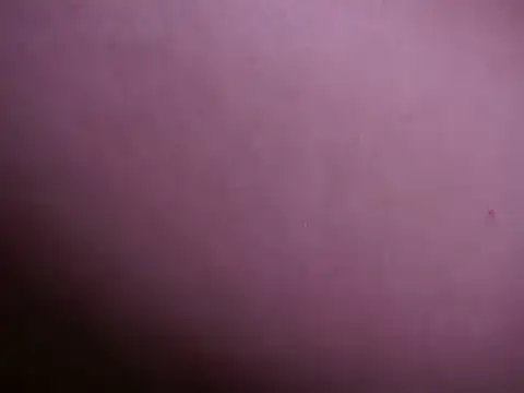 Snapshot of AliceShazaham_ chatting on January 2025 09:48:02 AM AliceShazaham online show from January 2025 09:48:02 AM