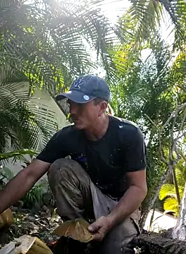 mexlog online show from October 2025 05:09:02 PM