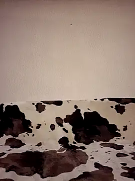 Zgodanilep online show from June 2026 11:35:01 PM