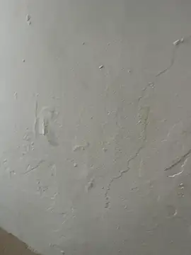 Popinasq online show from November 2025 03:49:01 PM