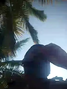 Snapshot of bulunchu chatting on December 2024 04:02:02 AM bulunchu online show from December 2024 04:02:02 AM