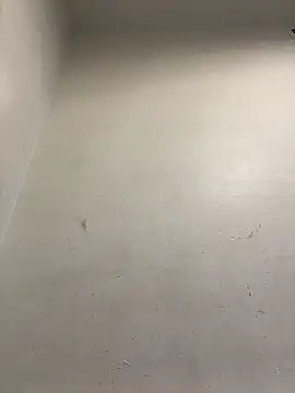 Snapshot of honeybrow chatting on January 2025 09:55:02 PM honeybrow online show from January 2025 09:55:02 PM