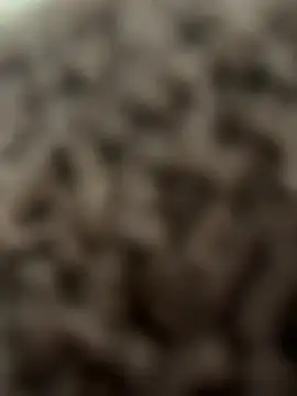 bumpinthat online show from February 2026 12:11:01 AM