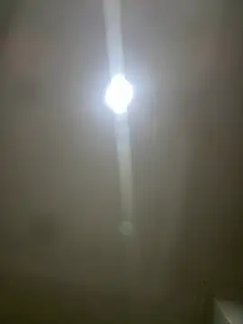 pawmistry online show from March 2026 03:58:02 AM