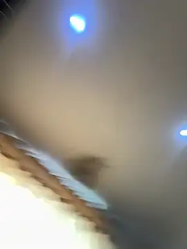 pawmistry online show from February 2026 06:41:01 PM