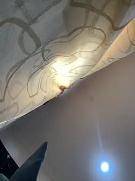 pawmistry online show from December 2025 08:13:01 PM