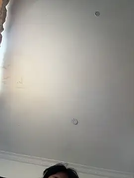 pawmistry online show from April 2026 08:02:01 PM